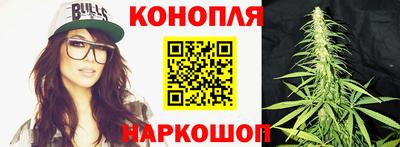 спайс Аргун