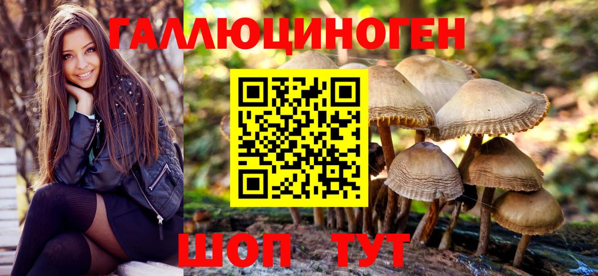 Галлюциногенные грибы мухоморы Асбест
