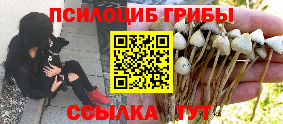 Псилоцибиновые грибы ЛСД  как найти закладки  Асбест  Вход с VPN  Псилоцибиновые грибы Magic Shrooms 